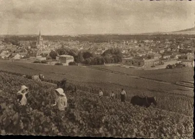 Ay — Vue générale. Premier cru de raisins noirs — Champagne Pommery & Greno - Reims