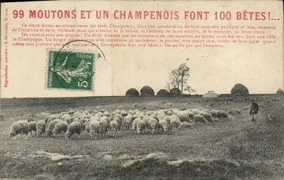 99 OVELHAS E UM CHAMPENOIS FAZEM 100 ANIMAIS! — S. Brémard, Troyes