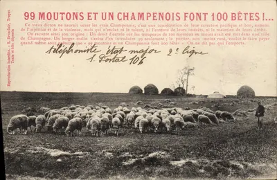 99 OVELHAS E UM CHAMPENOIS FAZEM 100 ANIMAIS !... — S. Brounlaïr, Tropes
