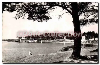 A Praia e o Bois d'Amour — ILE-aux-MOINES (Morbihan) — Edições Caby