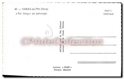 Haras-du-Pin (Orne) — Pur Sang en el pasto — Ediciones Gaby, Nantes — Reverso