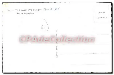Młoda Ossaloise — Krajobraz Pirenejski — Wydawnictwo OVE, Paryż — Rewers