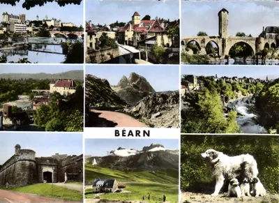 Béarn — Cảnh quan và chó Pyrénées — Chir les Arts Photomécaniques, Paris
