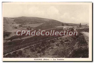Fleurie (Rhône) — Les Fonfotins — CPAdéCollection