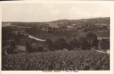 Fleurie (Rhône) — Em direção ao Mont