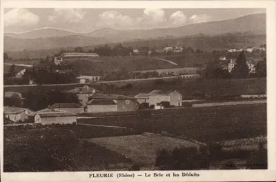 Fleurie (Rhône) — Le Brie e os Déduits — Fot. Combier Macon