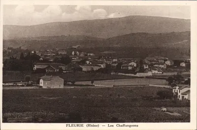 Fleurie (Rhône) — Les Chaffangeons — Fotografia Combe & Magon