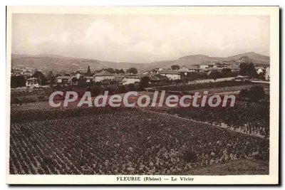 Fleurie (Rhône) — Le Vivier