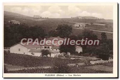 Fleurie (Rhône) — Les Moriers — CPAdeCollection