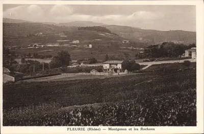 Fleurie (Rhône) — Montgenas e les Rochaux
