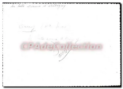 अल्बिनी एवेन्यू — कैन्स, फ्रांस — CPAdelCollection — पीछे