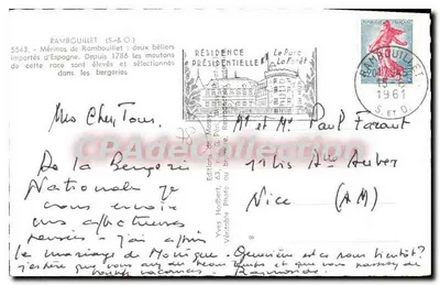Two Rambouillet Rams — Imported from Spain since 1786 — Yves Hodbert — Back