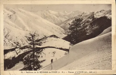 Environs de St ETIENNE-de-TINÉE (A.M.) — Plateau d'AURON (alt. 1608 m)