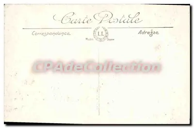 Alger — Ogród Eksperymentalny. Aleja Palmy — LL, n°255 — Rewers