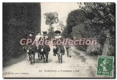 Robinson — Caminhada a Cavalo — P. Juvelle, fot. Robinson
