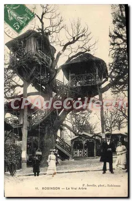 Robinson — A Verdadeira Árvore — P. Javelle, fot., Robinson