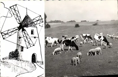 Montfermeil (S.-et-O.) — Os carneiros e a moinha — Éditions d'Art RAYMON (S.-et-O.)