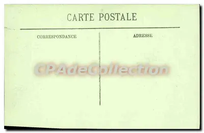 Algier. Ogród Doświadczalny — Aleja Fyuccas — LL.. — Rewers