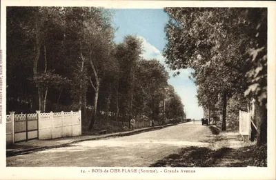 Bois-de-Cise-Plage (Somme) — Grandes Avenida — editor Bazar Choisien, n°14