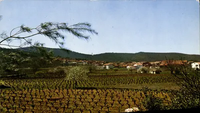 Nans-les-Pins — Vista geral — Sociedade de Edições do Fane