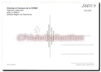 Vinhateiro Trabalhando com um Boi — (Oletta) Região de Patrimonio — Sociedade de Anúncios e Difusão — Verso