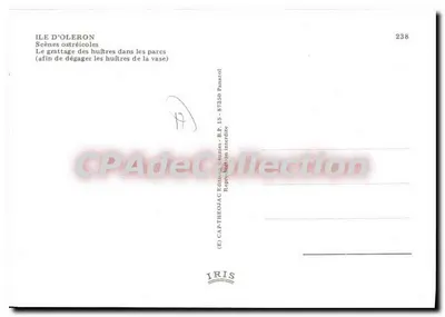 Ile d'Oléron — Scènes ostréicoles — Édition IRIS, n°238 — Rewers