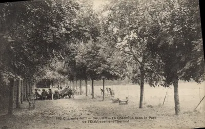 Saujon — La Charmillette no Parque do Estabelecimento Termal — F. Braun, fot.édit. O. Royan (Char. Inf.)