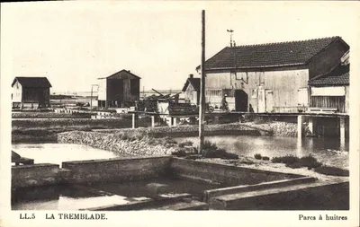 La Tremblade — Parques de ostras — LL.5