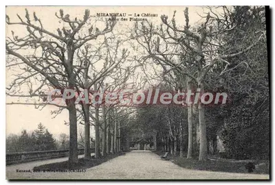 Mirambeau — O Castelo — Avenida dos Plátanos — Renaud, editor em Mirambeau (Ch. 141)