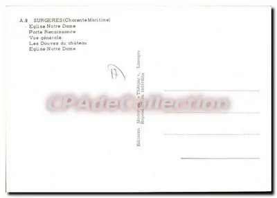Surgères — Katedra Najświętszej Maryi Panny, Drzwi Renesansowe, Ogólny widok zamku — Wydawnictwo Théodolae — Rewers