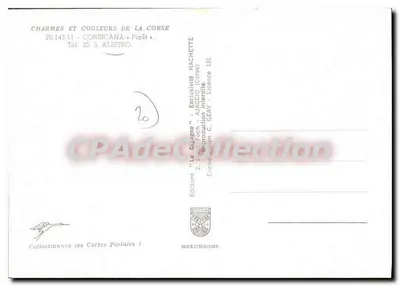 Vinhedos e aldeia de Forêt — Córsega — Éditions La Chiarme — Verso