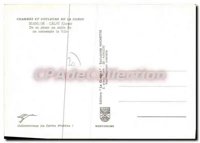 Calvi — Piasek — Wydawnictwo Diplomé — Rewers