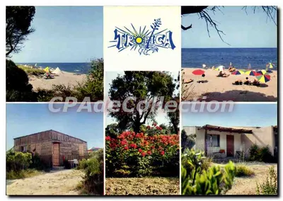 Tropica — Praia e bangalôs em Linguizzetta — Edições Diplom