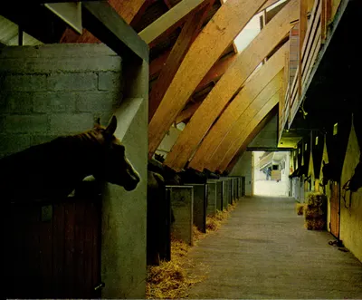 Centro Equestre de Pompadour — Corrèze — Éditions Cap Théojac