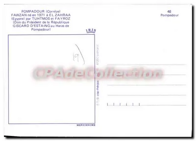 Cavalo FAWZAN — Haras de Pompadour — editor IRIS, n°48 — Verso