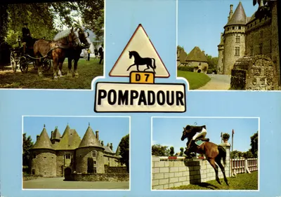 Pompadour — Castelo e atividades equestres — Edições LA CIGOGNE, Vichy