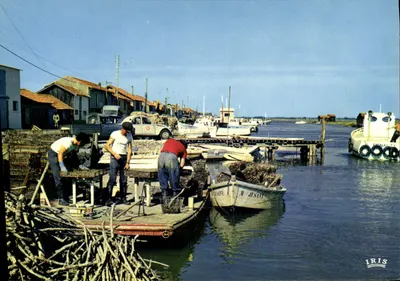 La Tremblade (Charente-Maritime) — O Porto. Cena de cultivo de ostras. Triagem das ostras — Éditions Diplôme