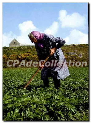 Mulher cultivando um campo — Ile de Batz (Finistère) — CPAdeCollection