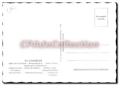 W Camargie — Kościół Świętych Maryi i Józefa, spacer Gitanów, chatka Gardianów, flamingi, konie i byki — Towarzystwo Kart Pocztowych AFA-POUX — ALBI — Rewers