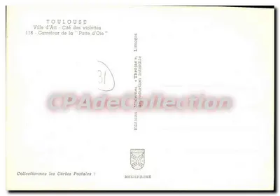 Toulouse — Fontaine central — IRIS — Verso