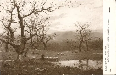 Châtaigneraie em novembro — Salon 1914, Paul Rue — n° 2551