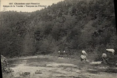 Chambon-sur-Voueize — Gorges da Voueize - Rebanho no Piquenique — B. Laville, Montluçon