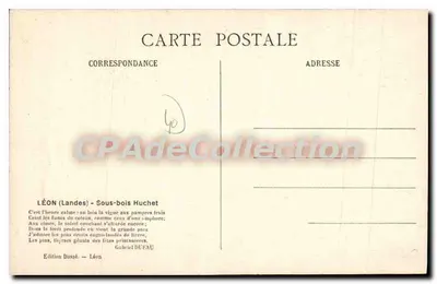 Léon (Landes) - Sous-bois de huchet — Edição Dassé, Léon — Verso