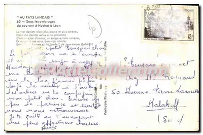 Sous les ombrages du courant d'Huchet à Léon — VIGNES — Verso