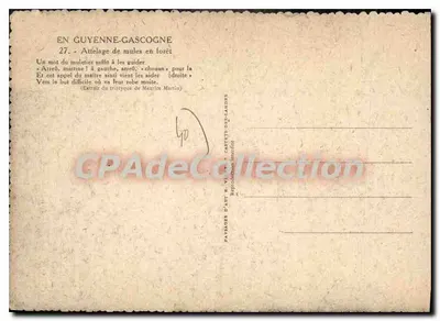 Wóz mulek w lesie — W Guyenie i Gascognie — Wydawca E. Vicnès — Rewers