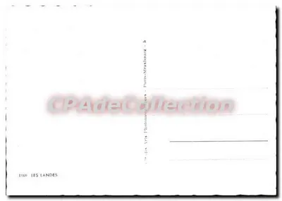 Landes — Ilustrowana karta pocztowa — CPAdéCollection - 5 — Rewers