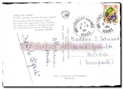 Gemmowanie sosny — Bretignolles-sur-Mer — Wydawnictwo Artystyczne Castets — Rewers