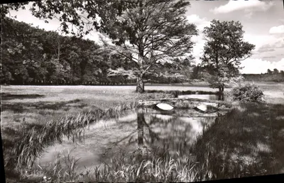Vizinhança de Lamotte-Beuvron — Paisagem de Sologne — editor Borin, n°41