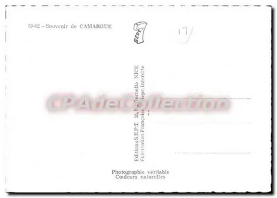 Camargue — Lembrete de Camargue — Éditions SEPT, NICE — Verso