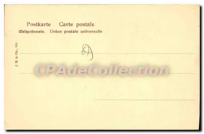 Duas Alsacianas — chá — J.M. & Cie, Str. No. 3 — Verso